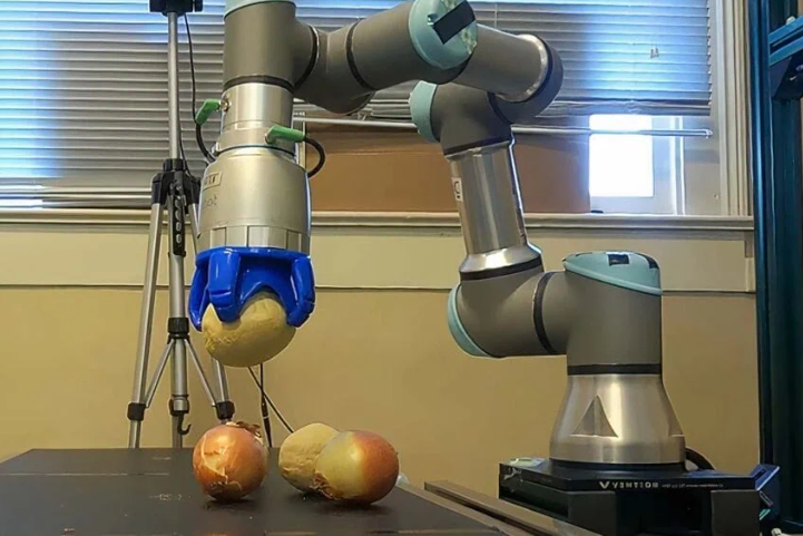 Innovación Robótica en la Agricultura: Un Cambio Revolucionario en la Clasificación de Cebollas en Georgia