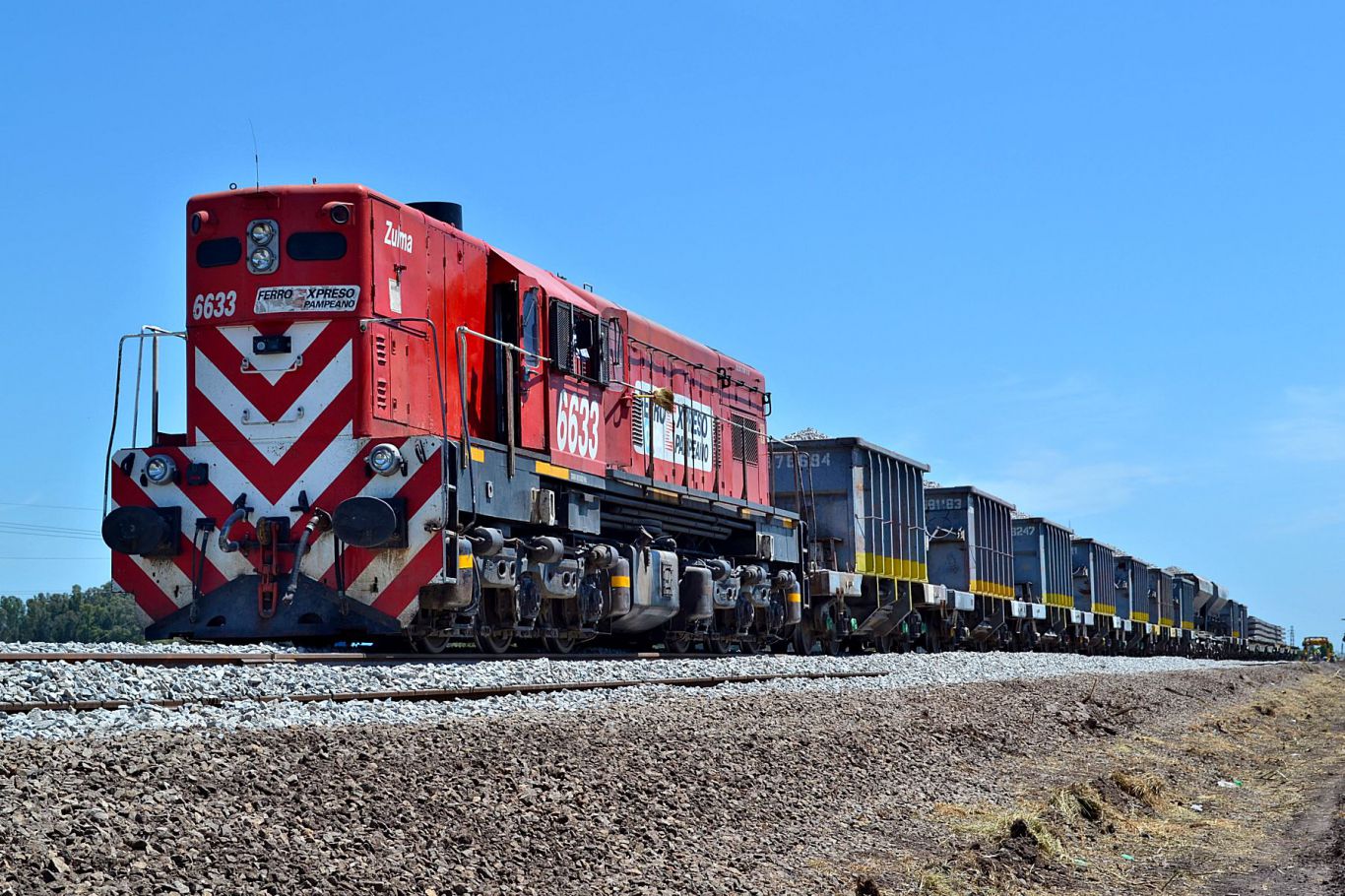 Economía prorrogó por un año más la concesión de una empresa ferroviaria de cargas