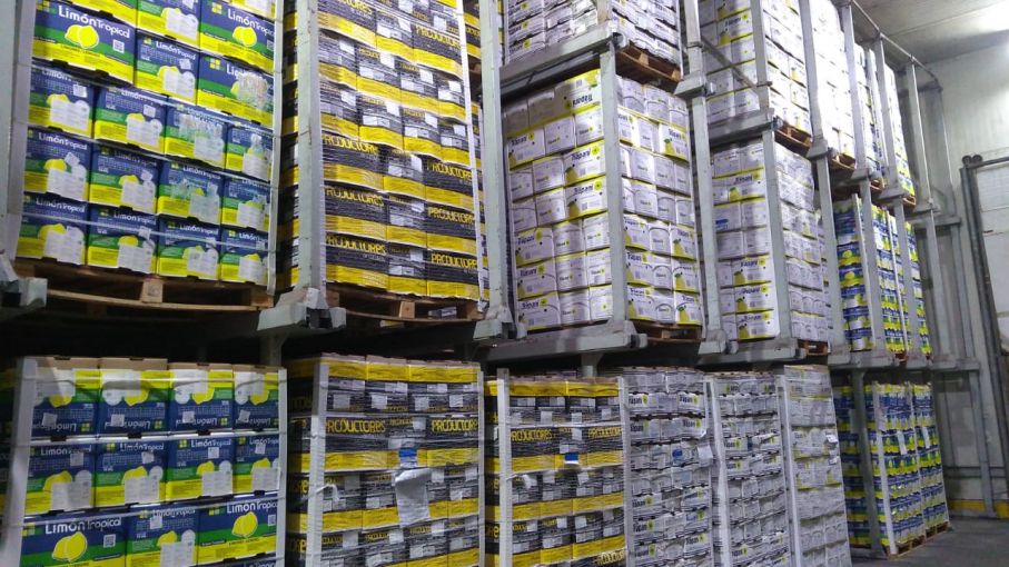 Certificaron la primera exportación de fruta fresca de la temporada a Rusia