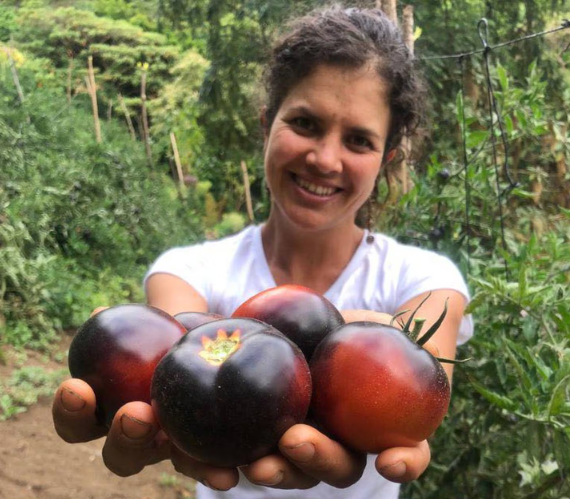 Semillas plantae: Innovación y diversidad en la agricultura costarricense