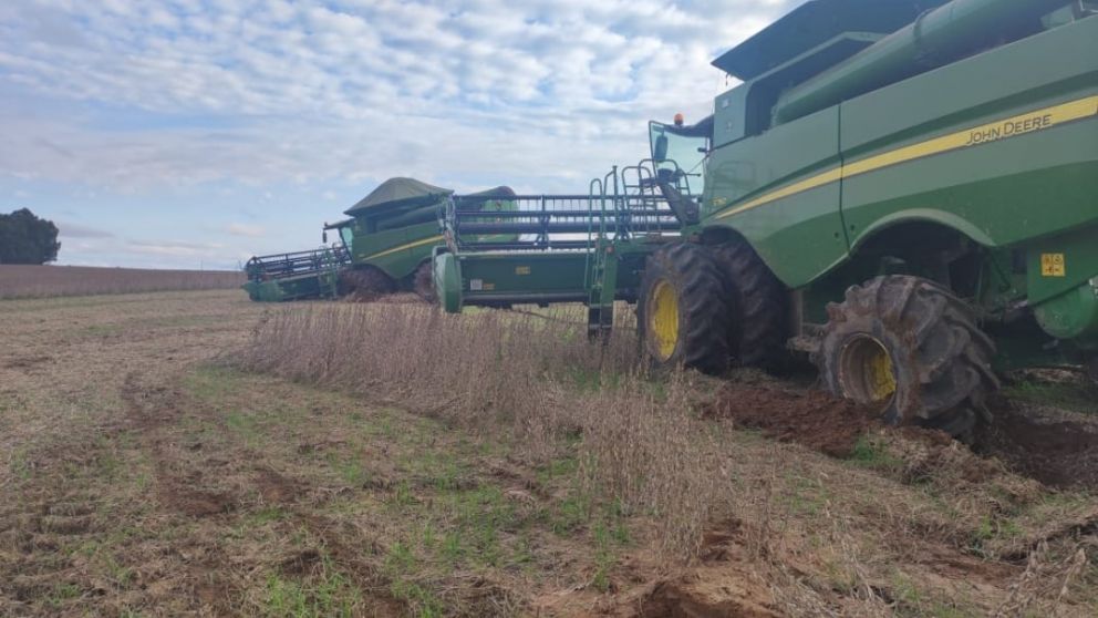 "Prevn duros impactos de La Nia en el Cono Sur