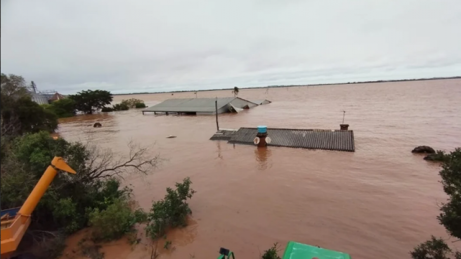 Rio Grande do Sul enfrenta pérdidas agrícolas de más de R$ 80 millones tras inundaciones 