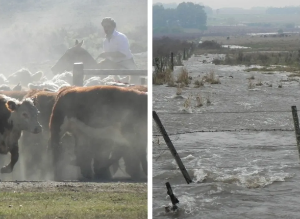 Asociación Rural del Uruguay reclama mejoras en caminería rural y recuerda cumplimiento tributario de los productores agropecuarios durante sequía