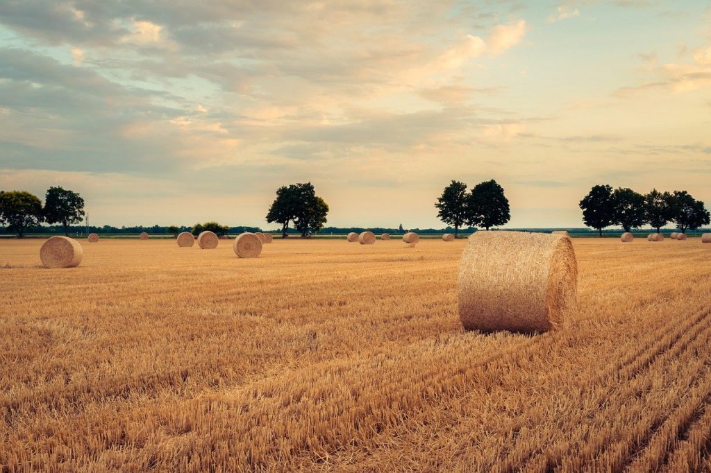 La Niña se "pincha" por el camino y el campo respira aliviado