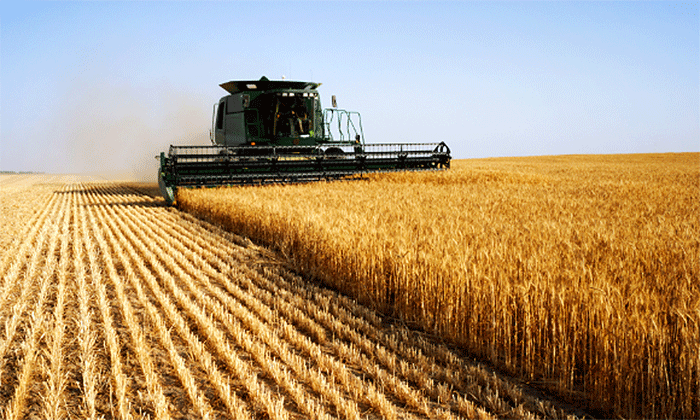 Santa Fe: cómo marcha el ciclo agrícola 2024