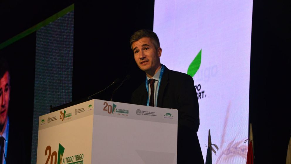 Optimismo en el sector triguero: Proyecciones favorables para la campaa 2024/25
