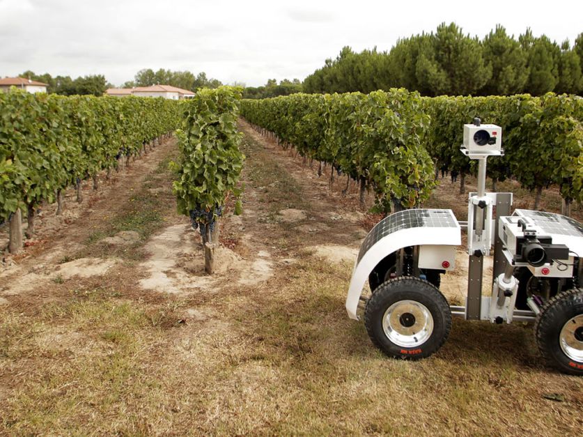 NSF y USDA unen fuerzas para impulsar la innovación en robótica agrícola