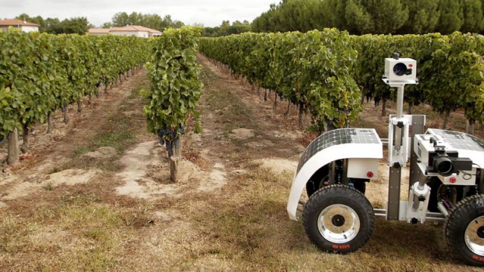NSF y USDA unen fuerzas para impulsar la innovacin en robtica agrcola