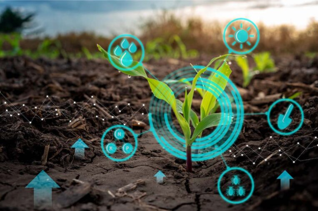 Beyond Weather asegura la inversión de LUMO Labs