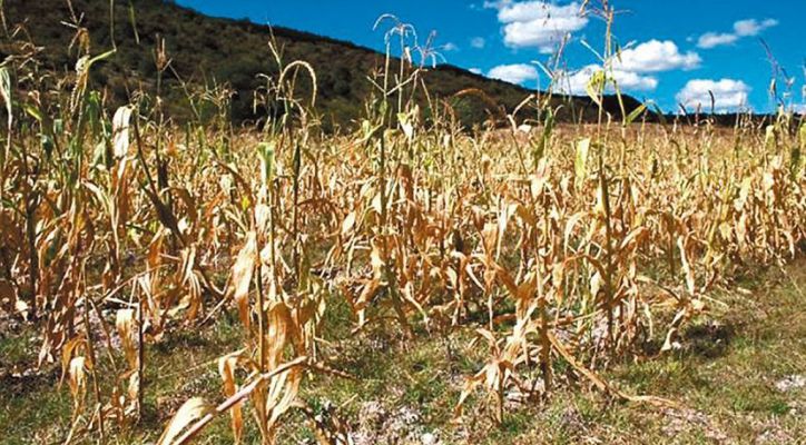 Colombia supera la intensa temporada de El Niño con graves afectaciones al sector agrícola