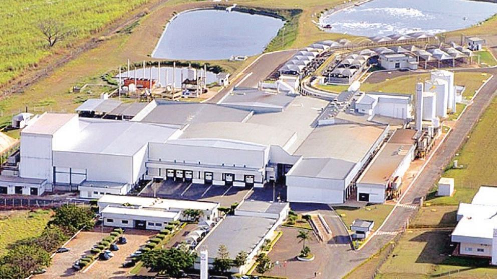 Uruguay bloquea la compra de plantas frigorficas de Marfrig por Minerva
