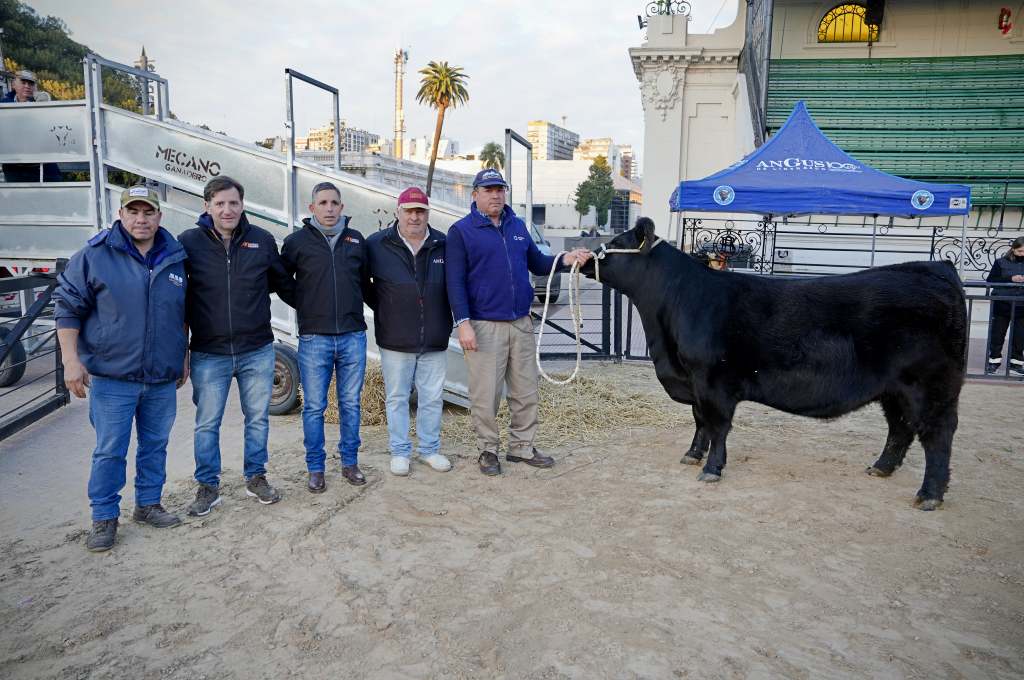 Con el arribo de Fiesta comenzó la Expo Otoño de Angus