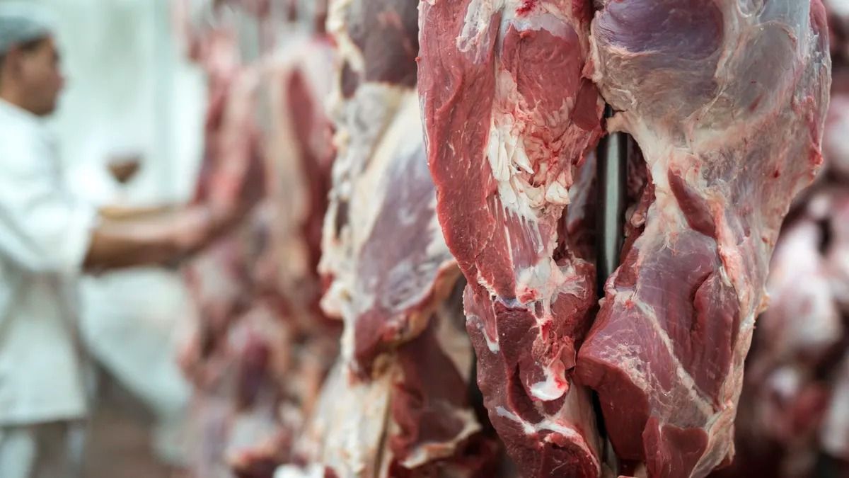 Uruguay amplía su mercado de exportación de carnes a China con 2 nuevos frigoríficos autorizados