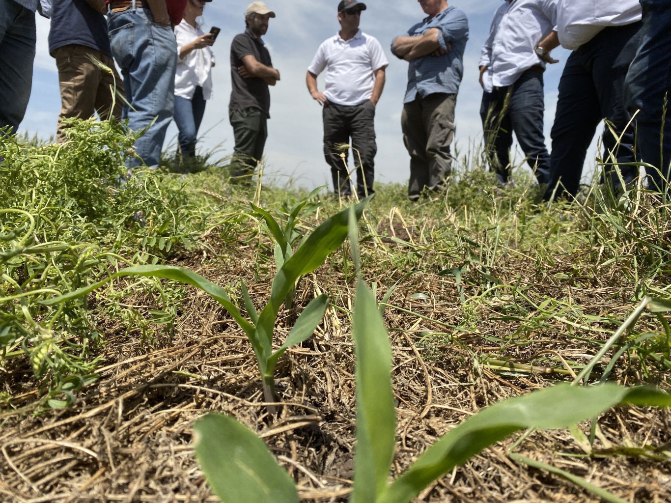 Aapresid publica un manual de prácticas para la agricultura regenerativa