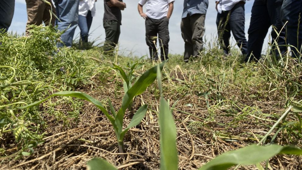 Aapresid publica un manual de prcticas para la agricultura regenerativa