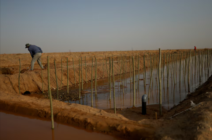 China enfrenta desafíos en su objetivo de seguridad alimentaria por problemas de tierra, suelo y agua