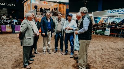 Mántaras :" El angus es muy competitivo: en los mercados globales