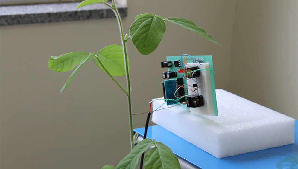 Nuevo dispositivo vibratorio para controlar plagas en la agricultura