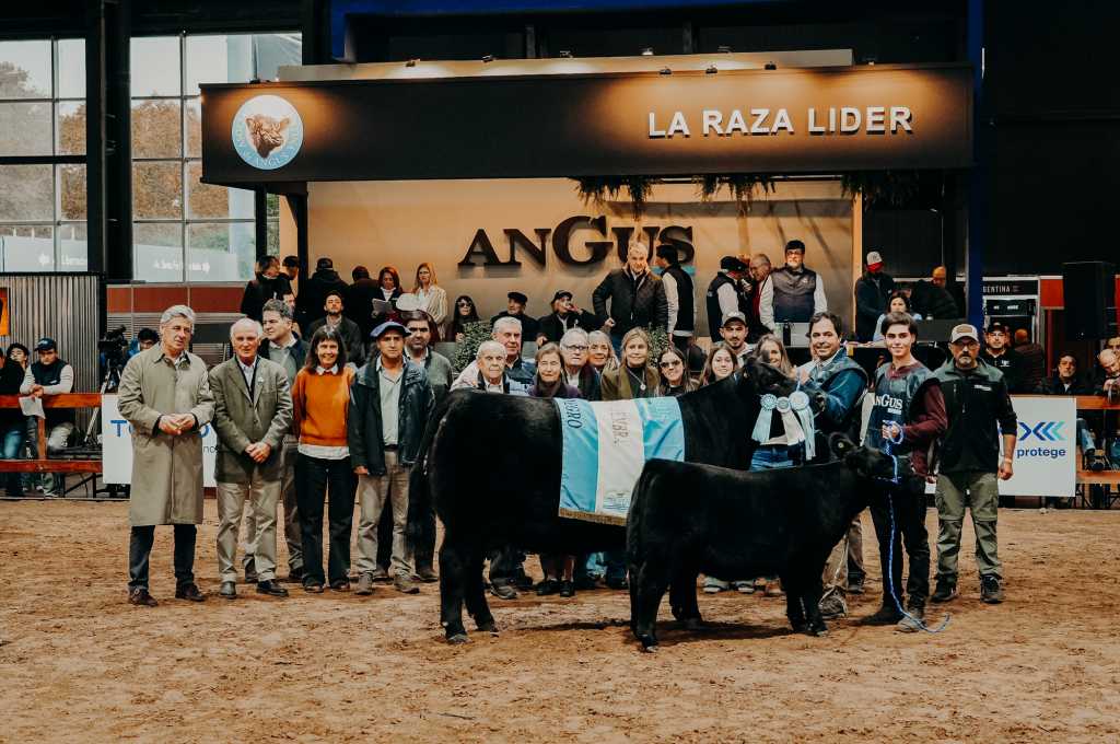 La genética Angus brilló en la pista Indoor con la elección de las Campeonas Negras y Coloradas