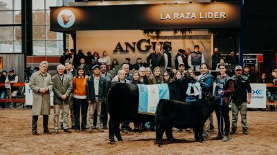La genética Angus brilló en la pista Indoor con la elección de las Campeonas Negras y Coloradas