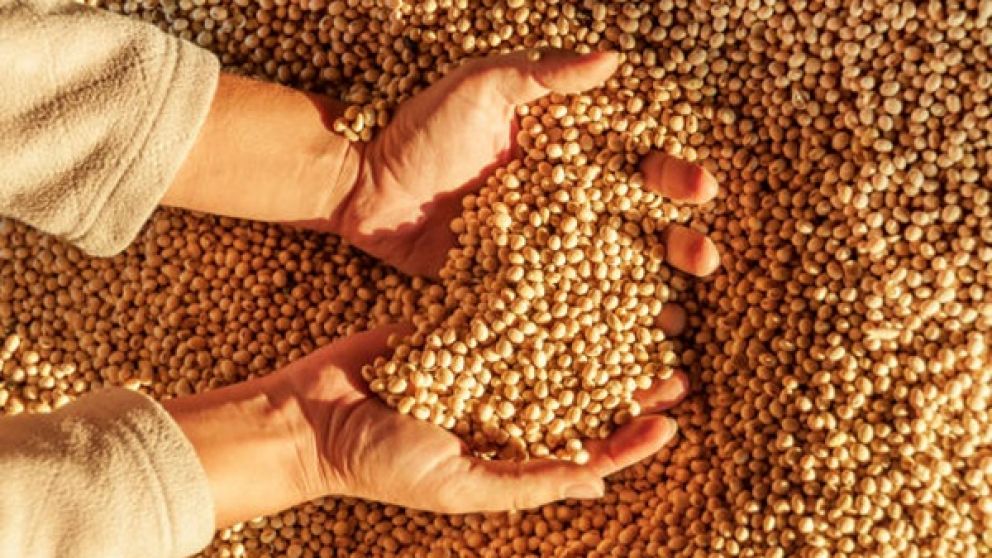 La venta de soja se duplica y la cosecha se acelera gracias al tiempo estable