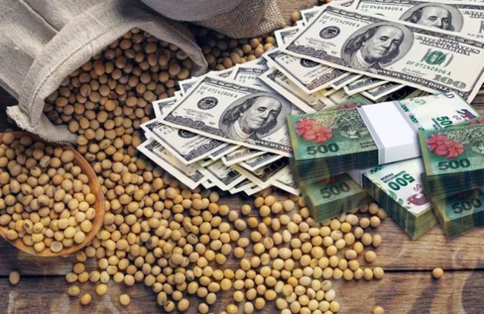 Ante la poca liquidación del agro, especulan con que el Gobierno busque incentivar ventas con una ampliación del dólar 80/20