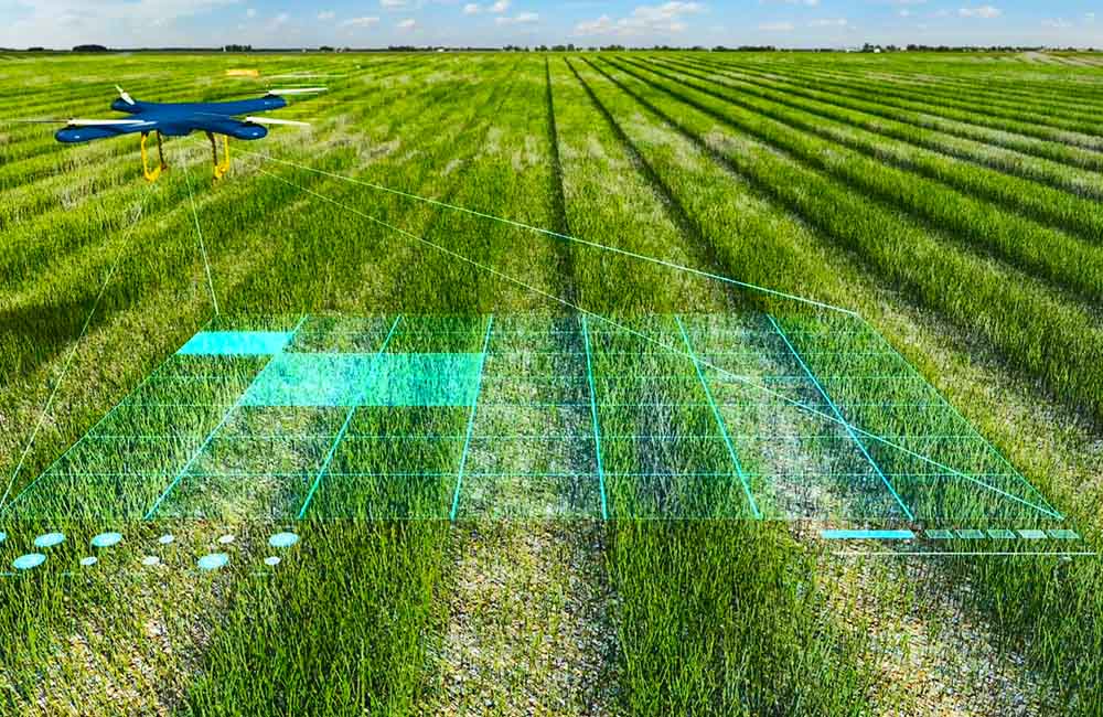 Inteligencia Artificial (IA) en la Agricultura: Impulsando Decisiones Agronómicas