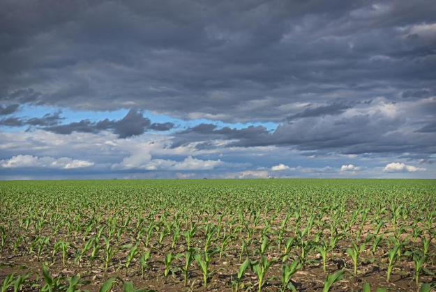 Alerta por tormentas severas: EEUU. Enfrenta un Junio con pronósticos de clima extremo