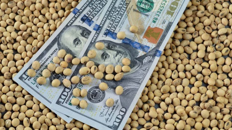 El agro generará U$S 20.000 Millones adicionales hasta fin de año gracias a mejora en precios internacionales