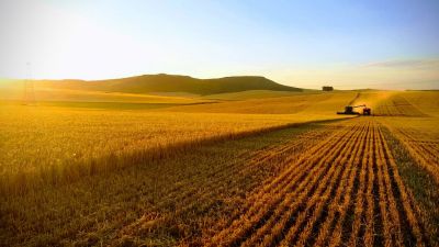 El mercado inmobiliario rural muestra una leve mejora, pero persisten dudas entre inversores