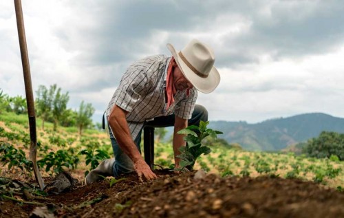 ¿Qué requiere el campo colombiano para que los jóvenes quieran trabajar allí?