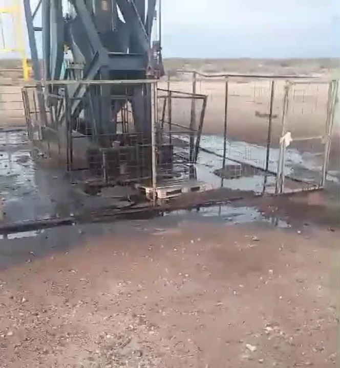 Criadores ovinos y caprinos denuncian que siguen los derrames de petróleo en Río Negro