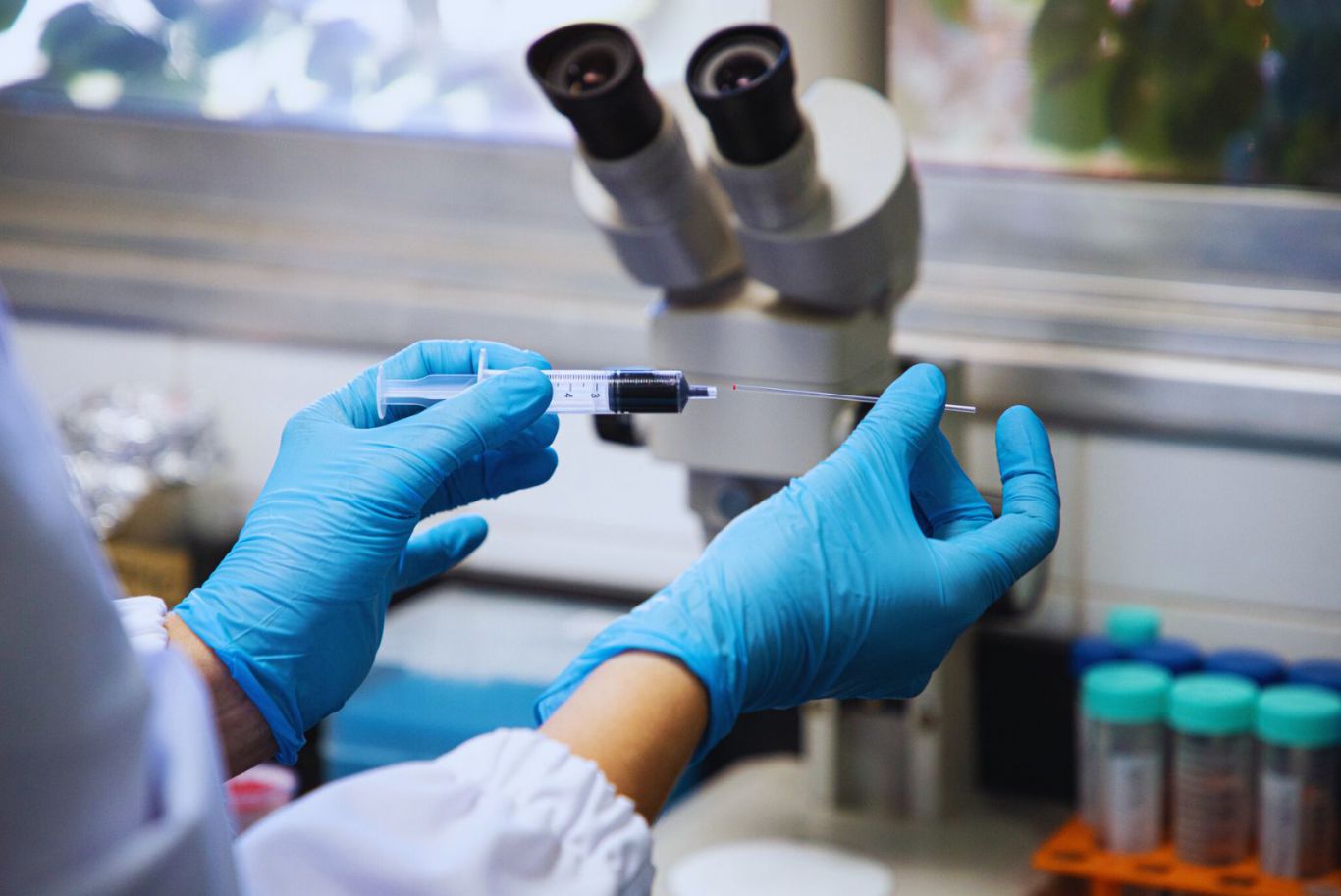 El INTA y el CONICET desarrollan un nuevo método de diagnóstico molecular de la tristeza bovina