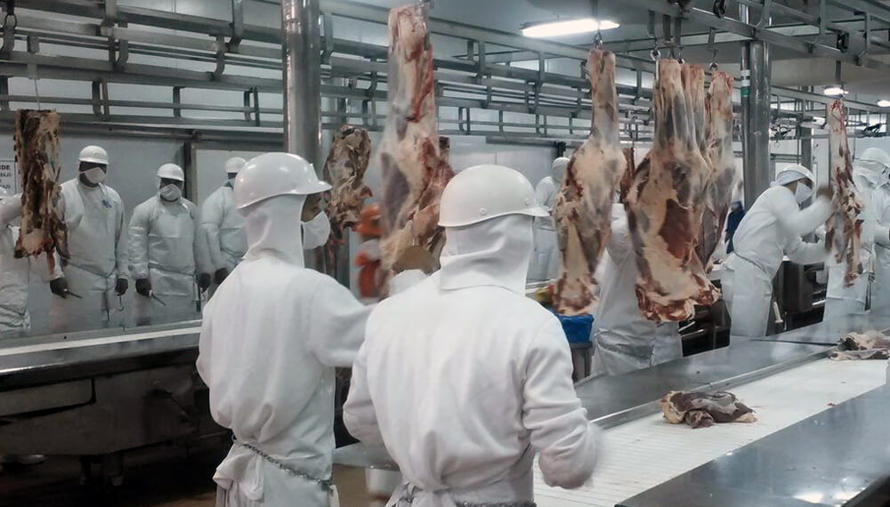 ¿Podrá recuperarse el precio de la carne en la segunda mitad del año?