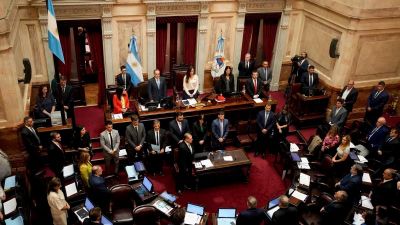 Senado Debate Ley Bases en Medio de Incertidumbre sobre el Cuórum