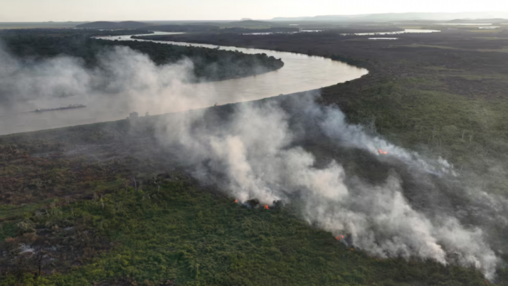 Incendios en los humedales del pantanal de Brasil alcanzan niveles rcord en 2024