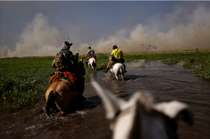 Incendios en los humedales del pantanal de Brasil alcanzan niveles rcord en 2024