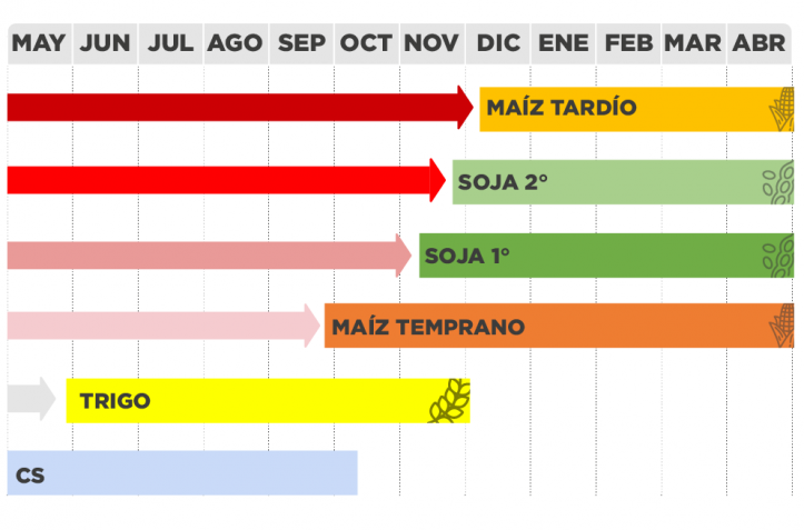 Estrategias efectivas para el control de malezas en barbecho de invierno