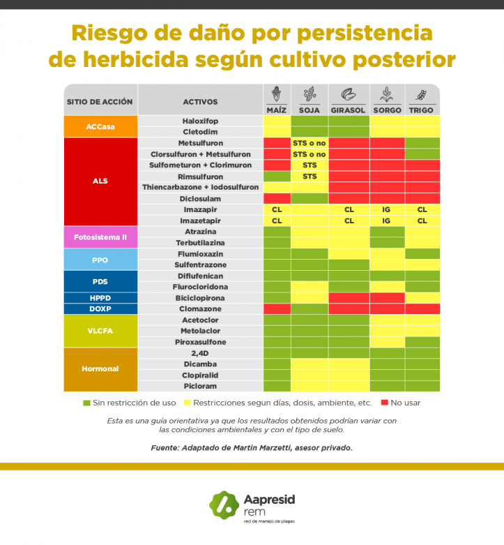 Estrategias efectivas para el control de malezas en barbecho de invierno