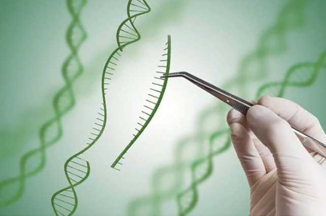 Syngenta abre acceso a tecnologías de edición genómica para la investigación académica