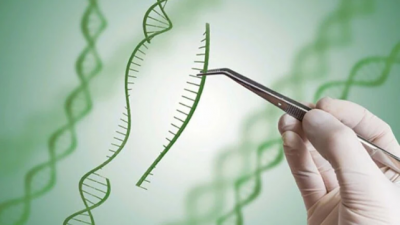 Syngenta abre acceso a tecnologías de edición genómica para la investigación académica