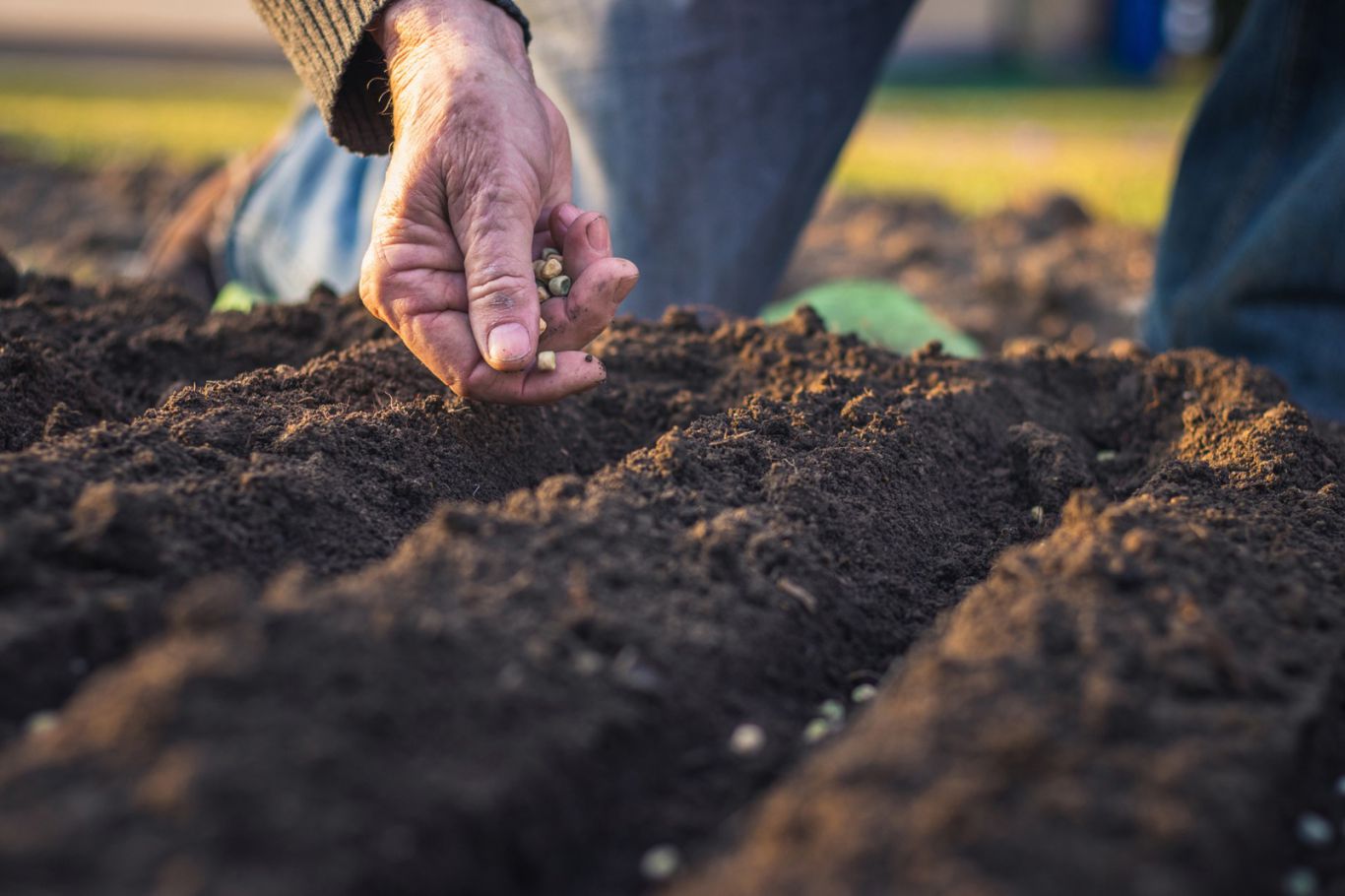 Bayer se propone lanzar diez innovaciones agrícolas en diez años para transformar la agricultura