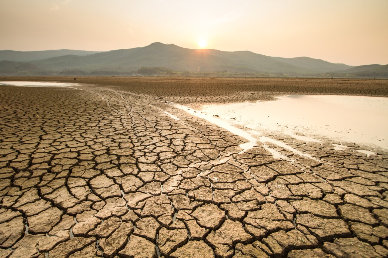 Desde el Mar Negro hasta el Medio Oeste de Estados Unidos, el clima extremo amenaza la producción agrícola