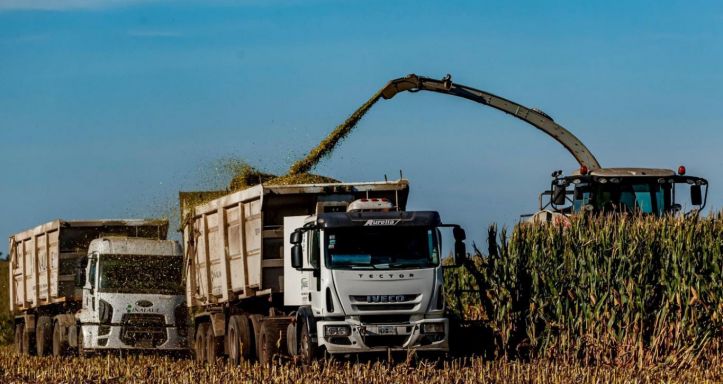 KWS presenta nuevos híbridos para aumentar la producción de leche en el corazón lechero