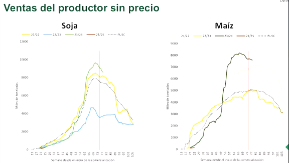 Las ventas de soja superan promedio histórico y dan alivio al Gobierno