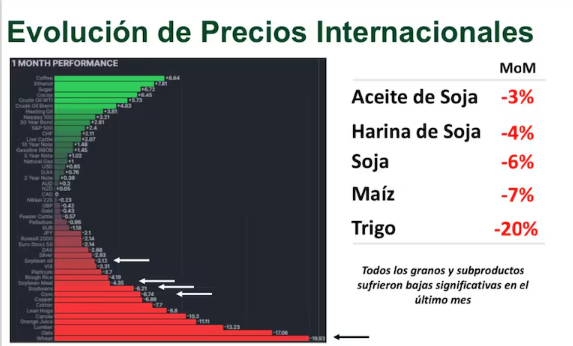 Las ventas de soja superan promedio histórico y dan alivio al Gobierno