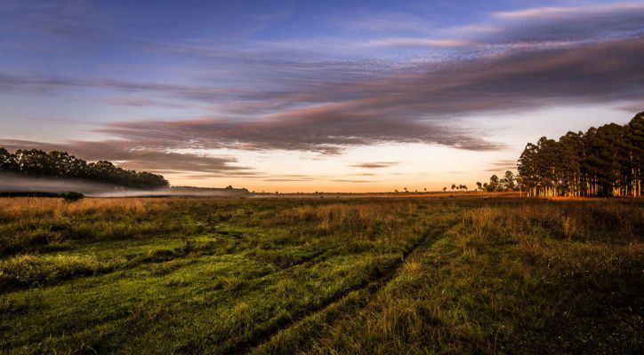 Construyendo un legado de respeto y responsabilidad hacia la naturaleza.