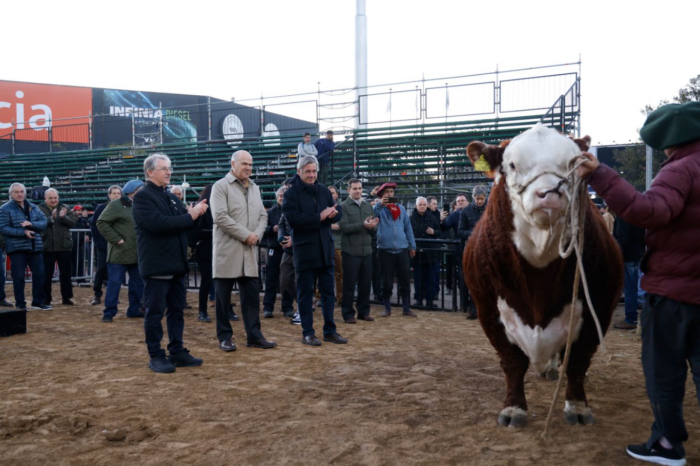 Místico primer animal en ingresar a la Rural 2024