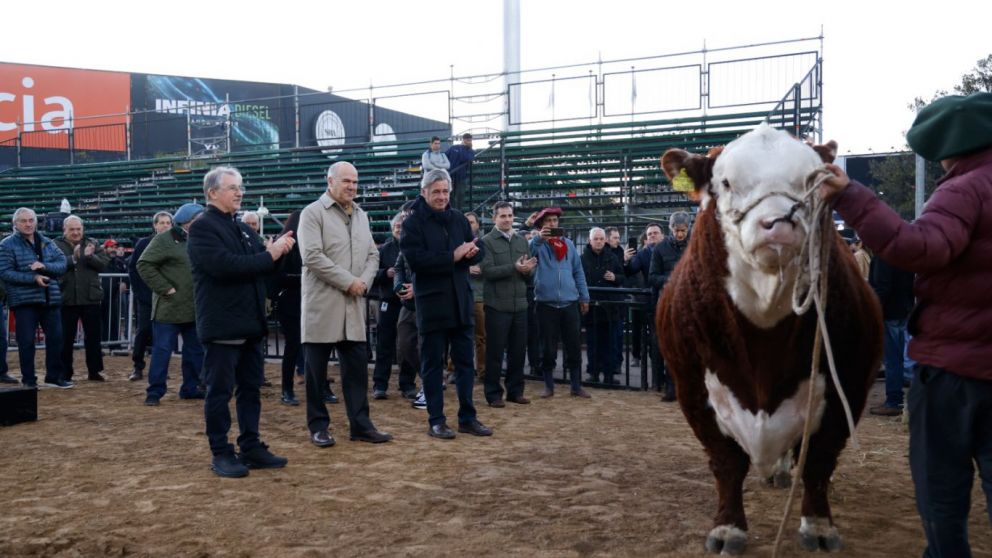 Mstico primer animal en ingresar a la Rural 2024
