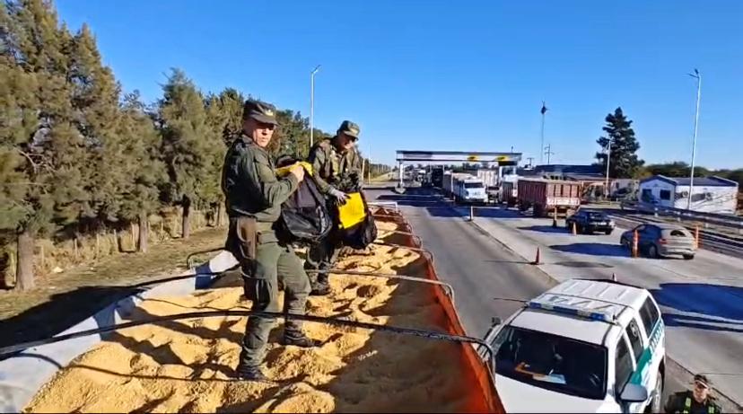 Transportaba 82 kilos de cocaína en un cargamento de harina de soja